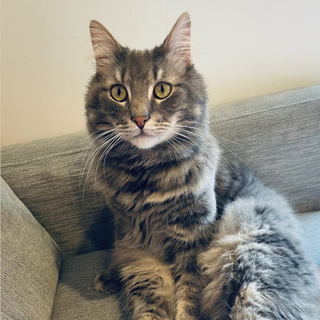 Photo of George 