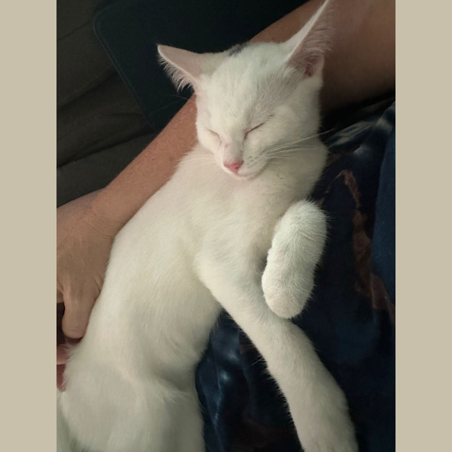 Photo of Candy