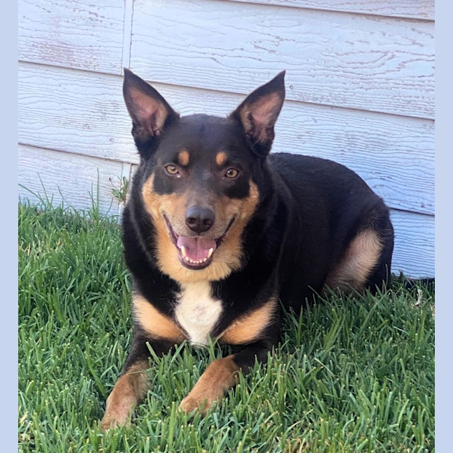 Photo of Jasper