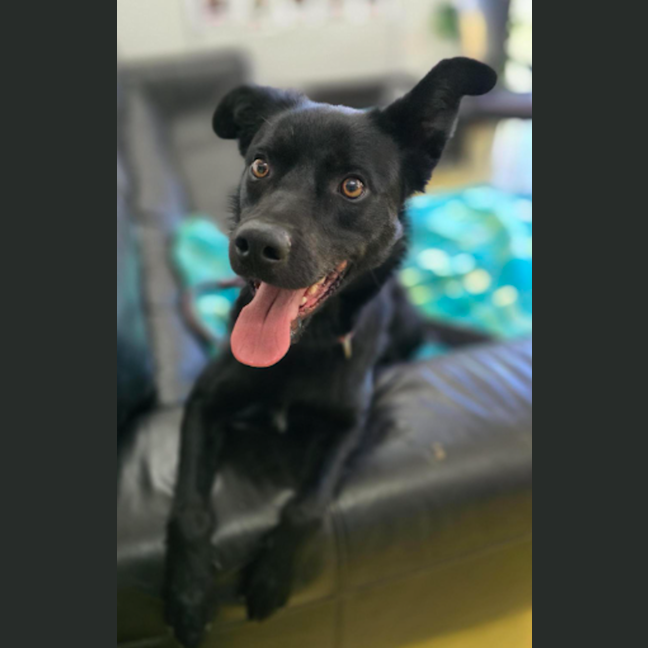 Photo of Seeker