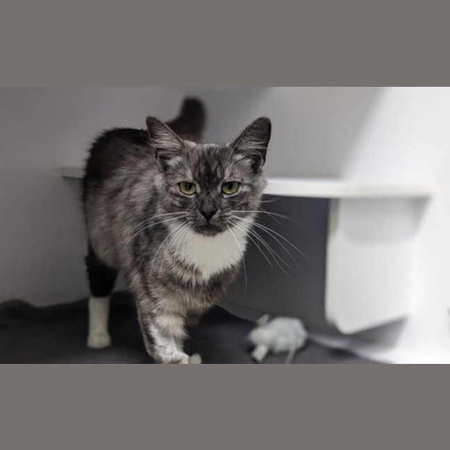 Photo of Sabrina