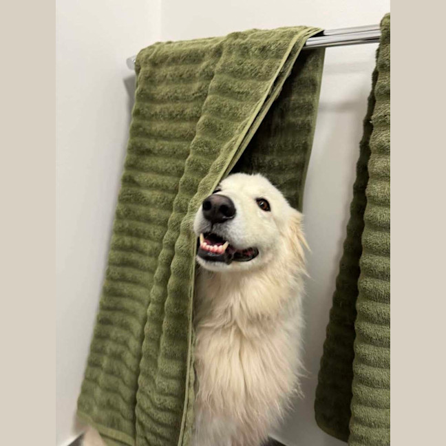 Photo of Summer