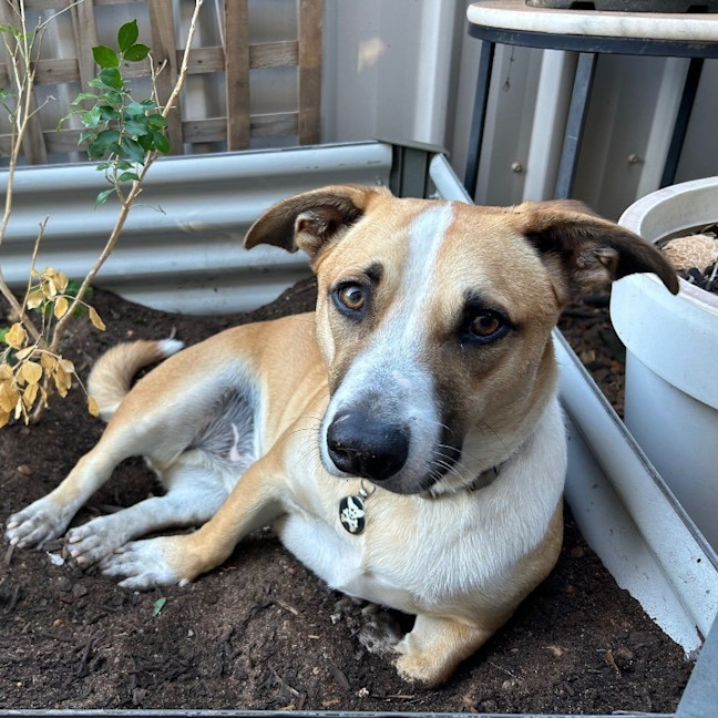 Photo of Kevin