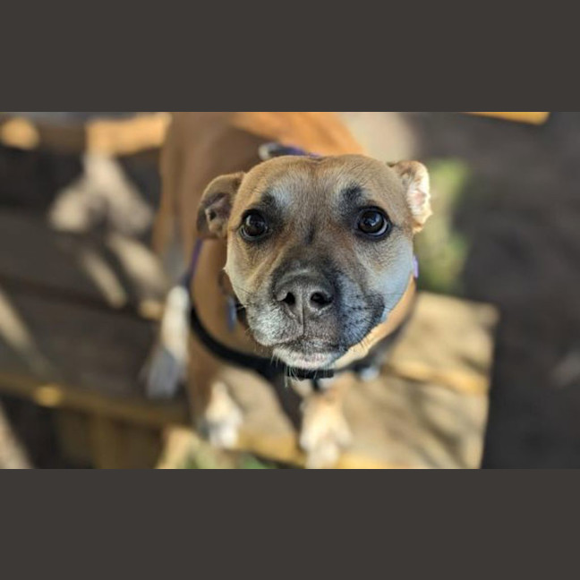 Photo of Polly