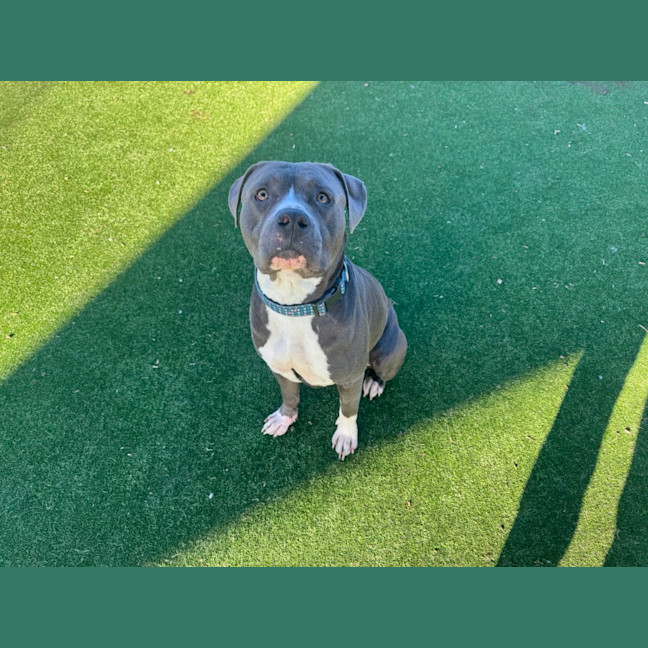 Photo of Gus Imp 1484