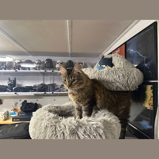 Photo of Meg