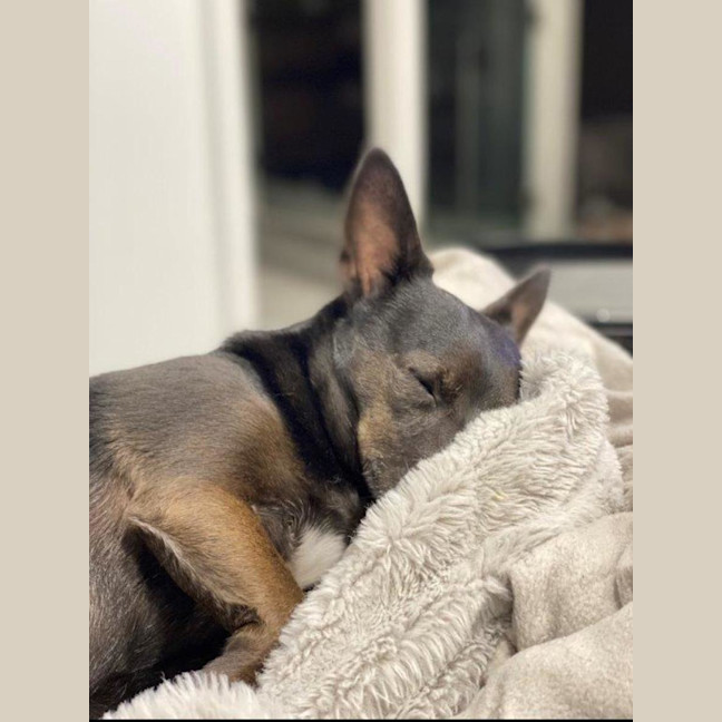 Photo of Basil Moriarty