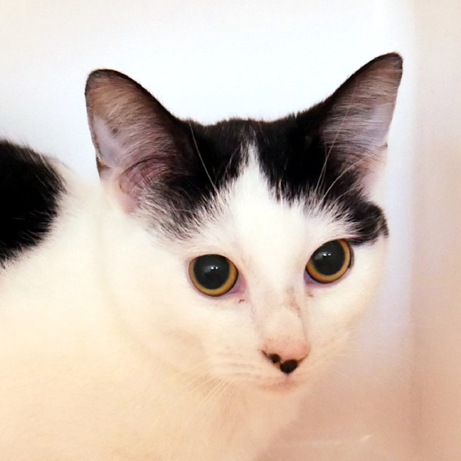 Photo of Ziggy Sta012981