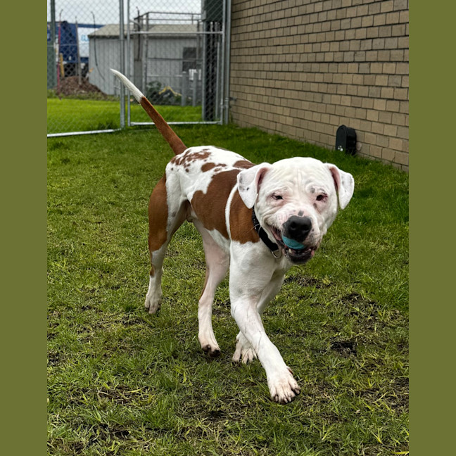 Photo of Sully