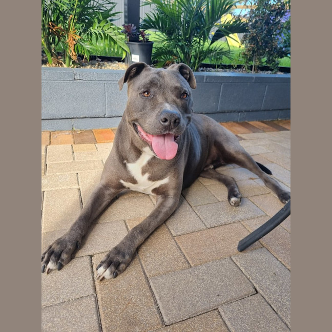 Photo of Raider