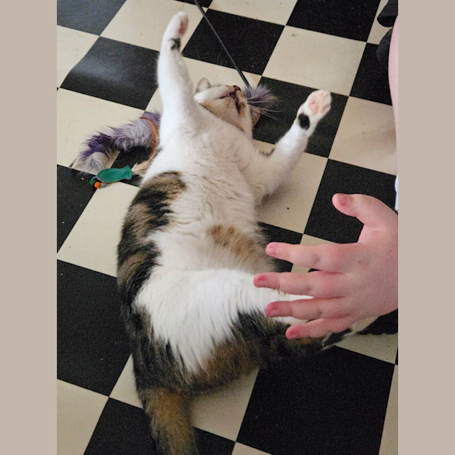 Photo of Thor. A Laugh A Minute!