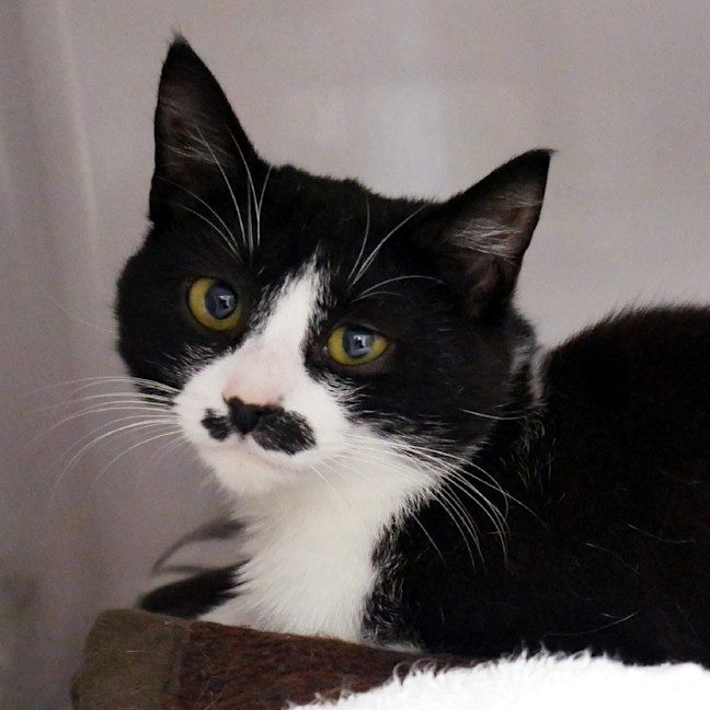 Photo of Blair Sta013121