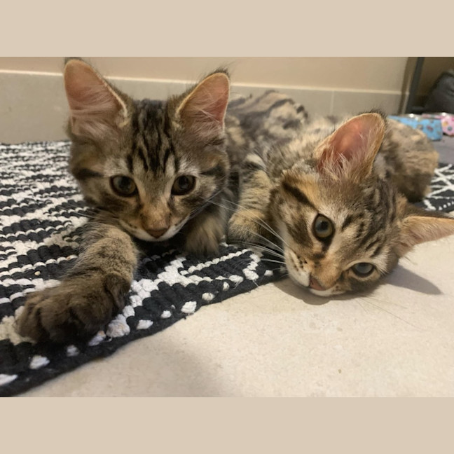 Photo of Marty & Max 