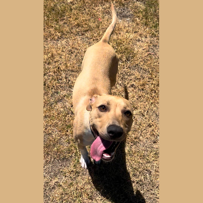 Photo of Izzy