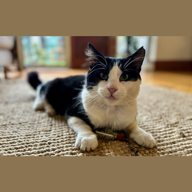 Photo of Hugo