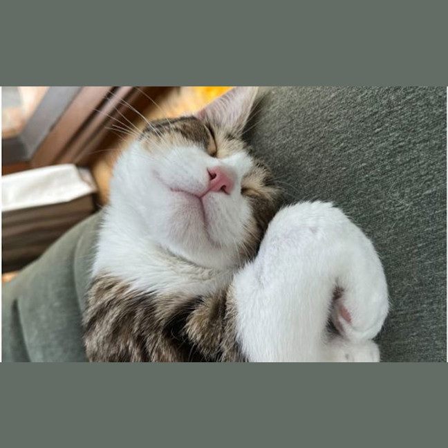 Photo of Bobby