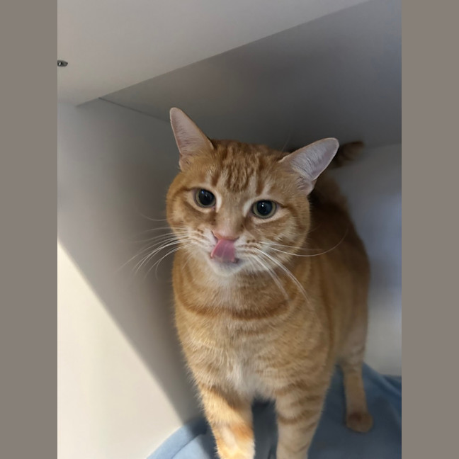 Photo of Timothy