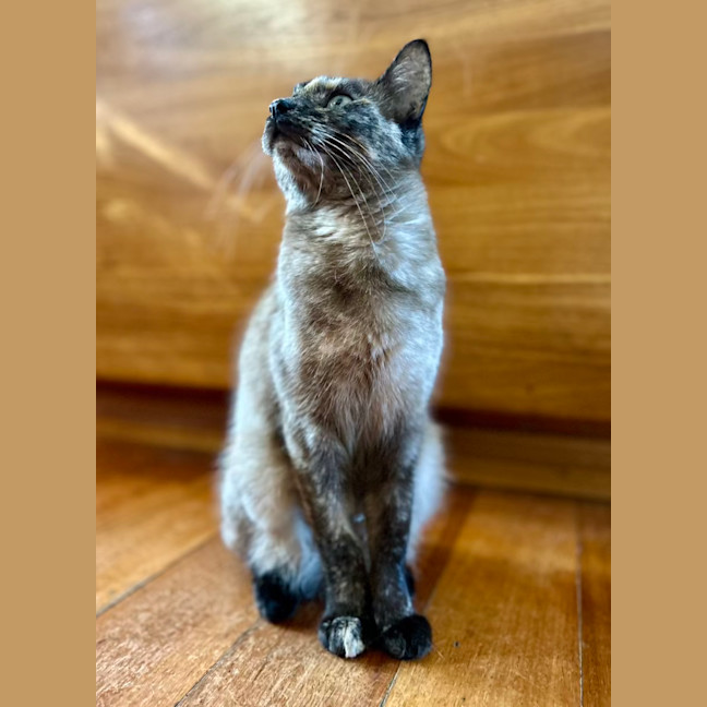 Photo of Paige   Located In Lower Plenty