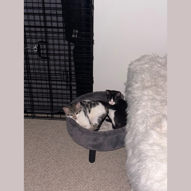 Photo of Yuki