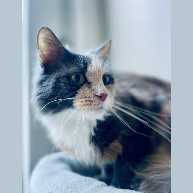 Photo of Mildred