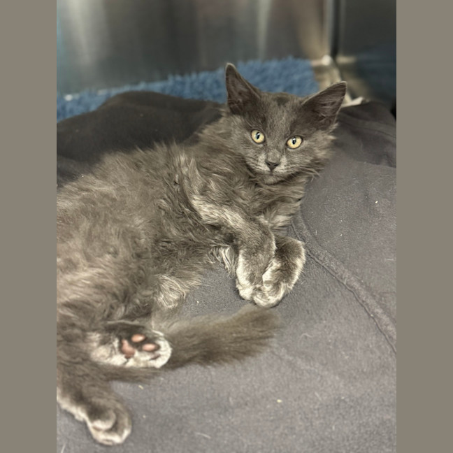 Photo of Bob Barnacles