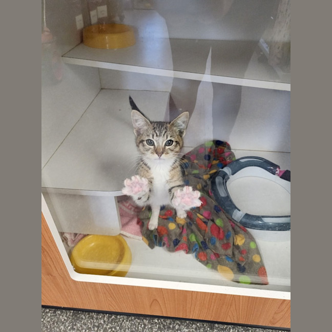 Photo of Leroy Jenkins