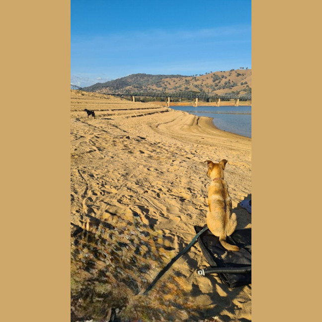 Photo of Tilly (Tandi)