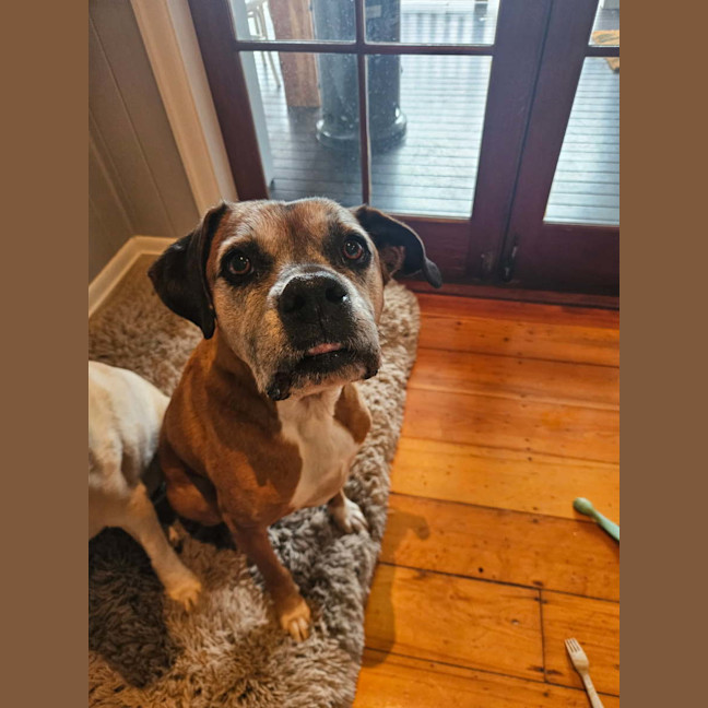 Photo of Riley And Lola