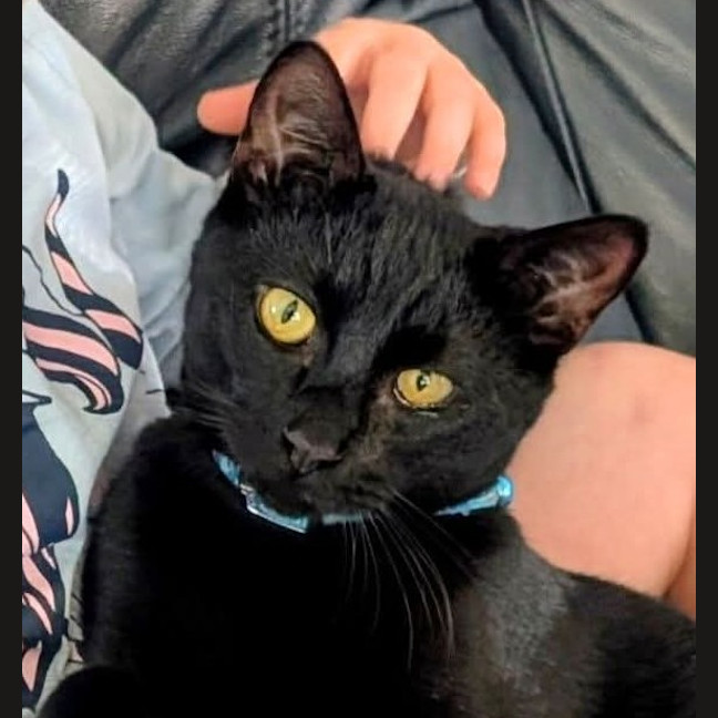 Photo of Uno