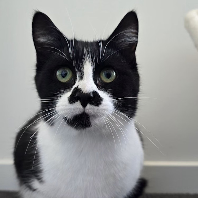 Photo of Sugar