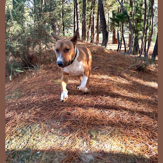 Photo of Billy