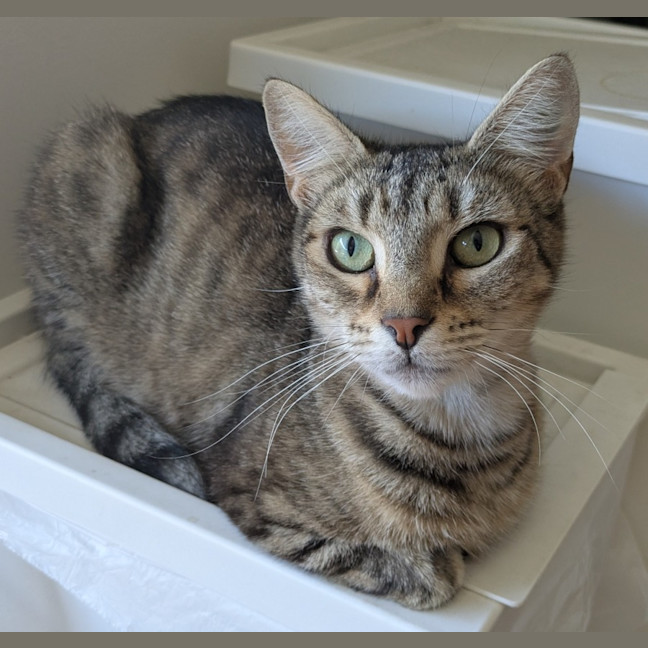 Photo of Tabitha
