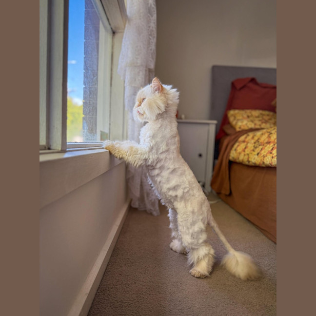 Photo of 🐾Little Bean🐾