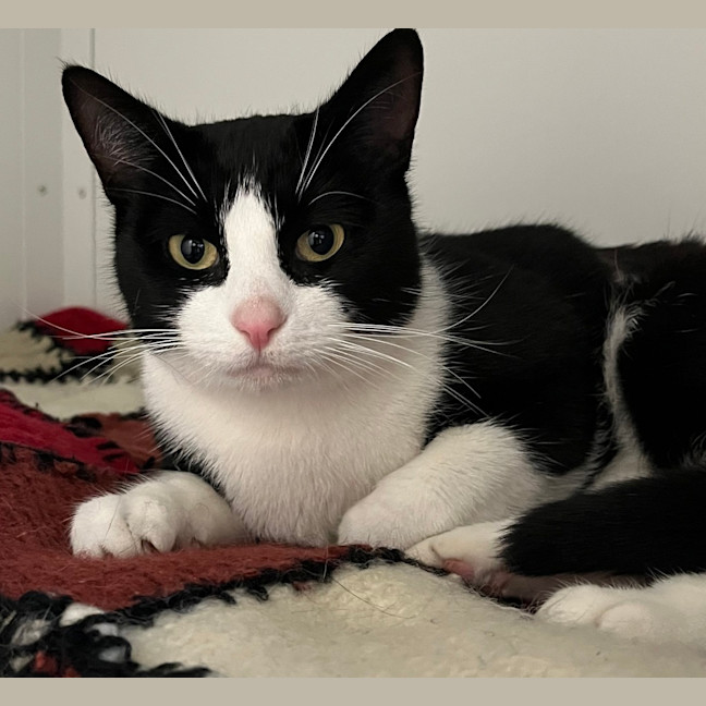 Photo of Kiki