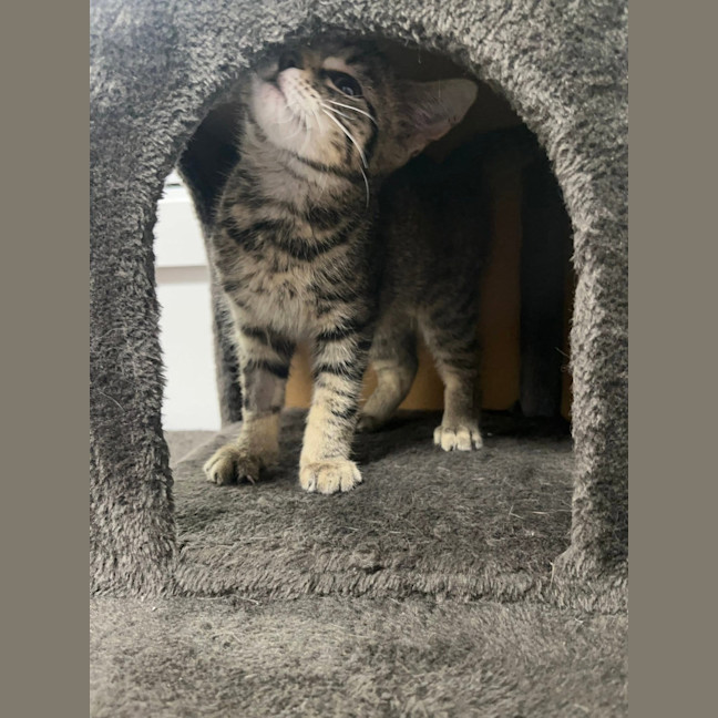 Photo of Birdie
