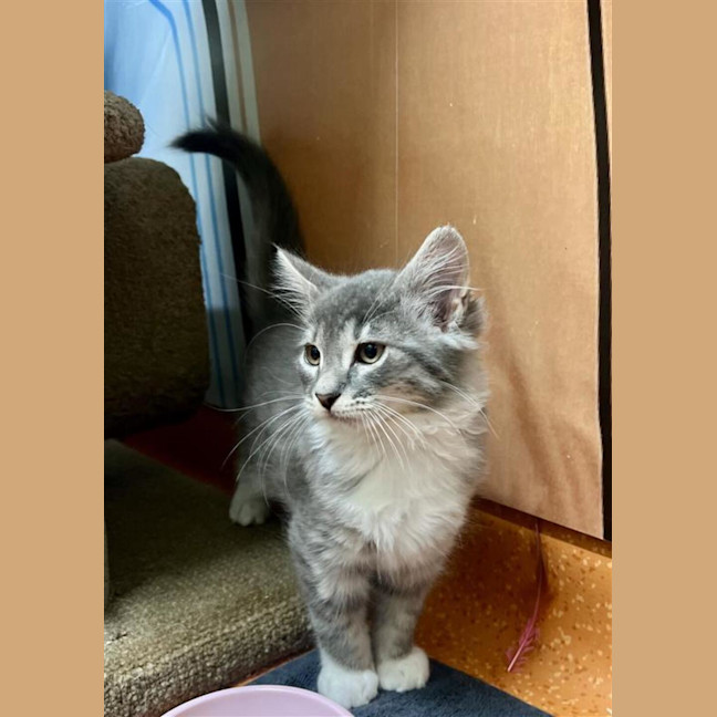 Photo of Storm