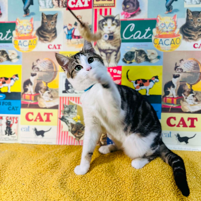 Photo of Garry   Located In Preston