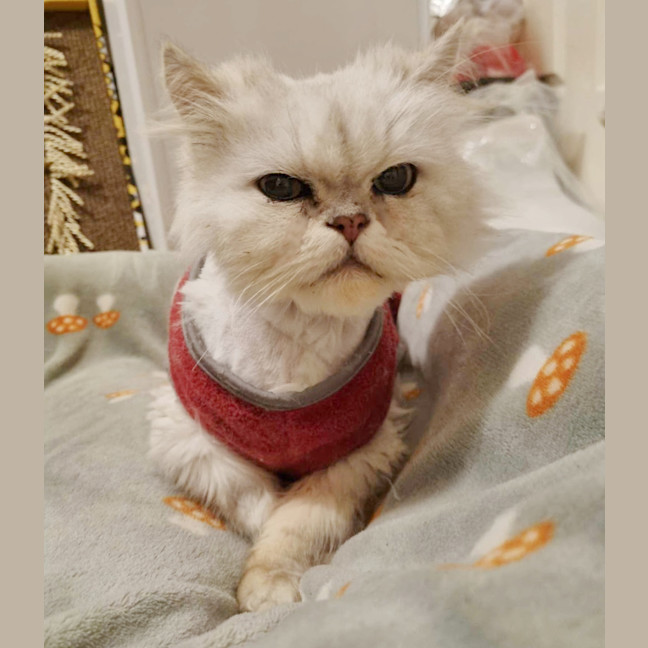 Photo of 🎩Darby🎩