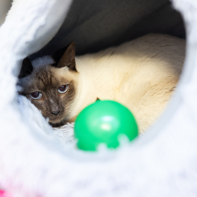Photo of Mabel