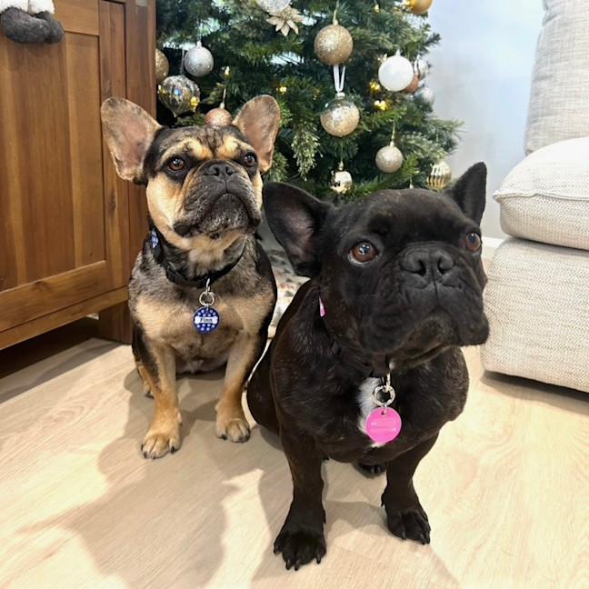 Photo of Effy & Finn  🌷🦴  Assisted Rehome