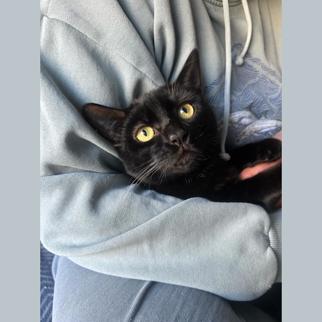 Photo of Giorgio 💙