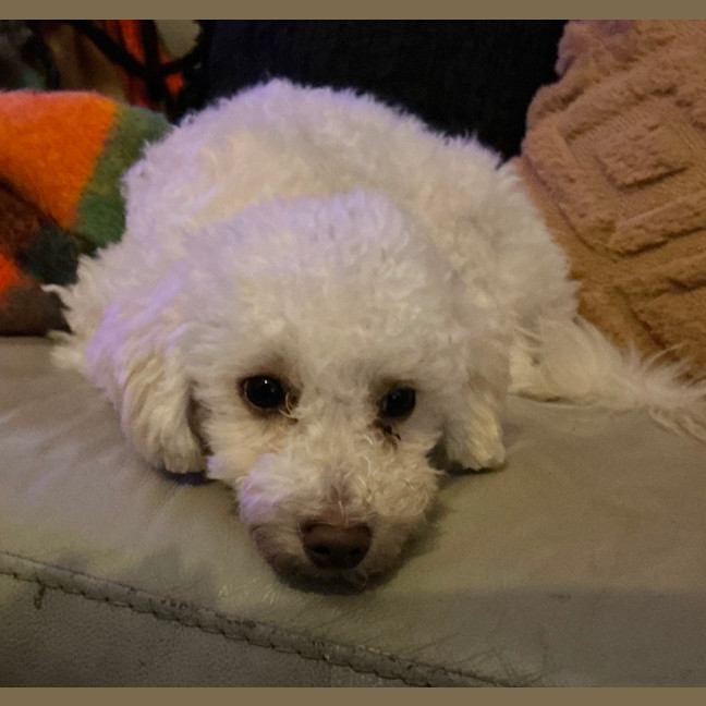 Photo of Tully