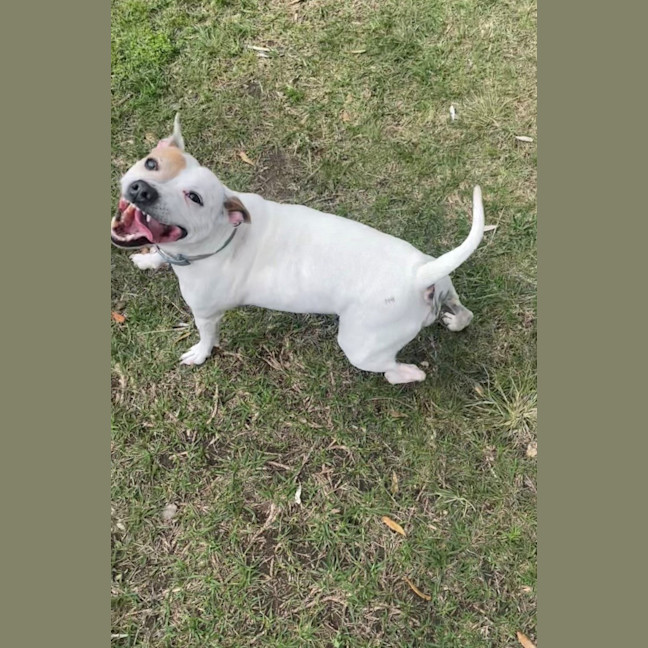 Photo of Molly (0976)