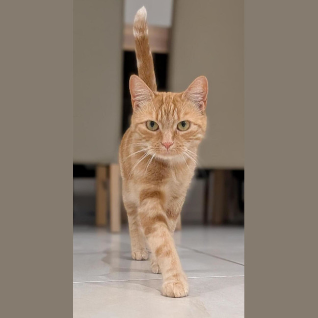 Photo of Annie