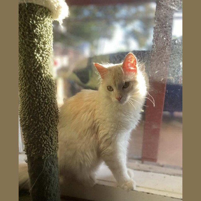 Photo of Mr Wimberley 