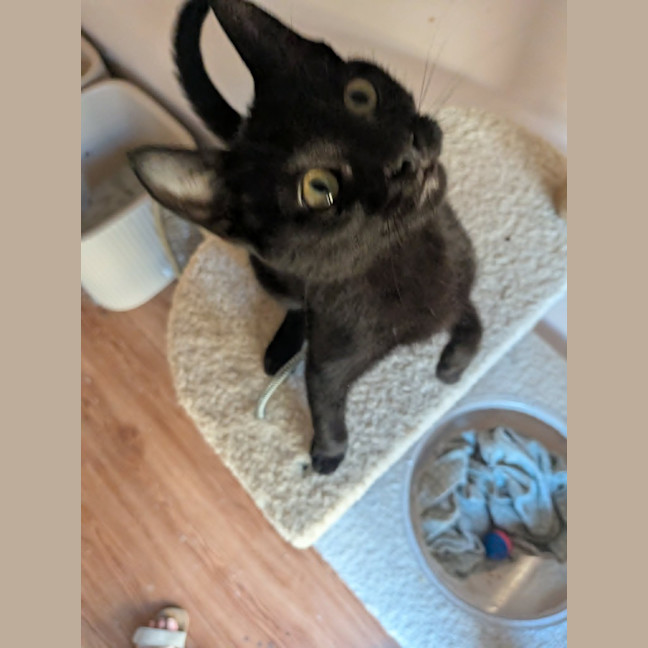 Photo of Buster