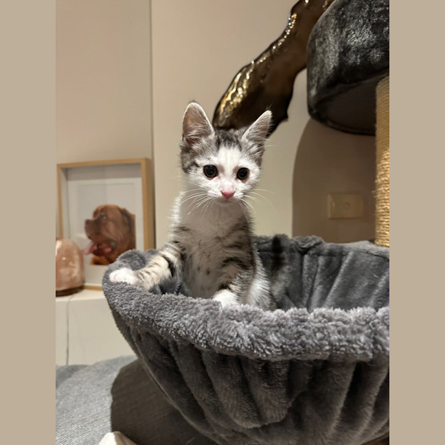 Photo of Moxie
