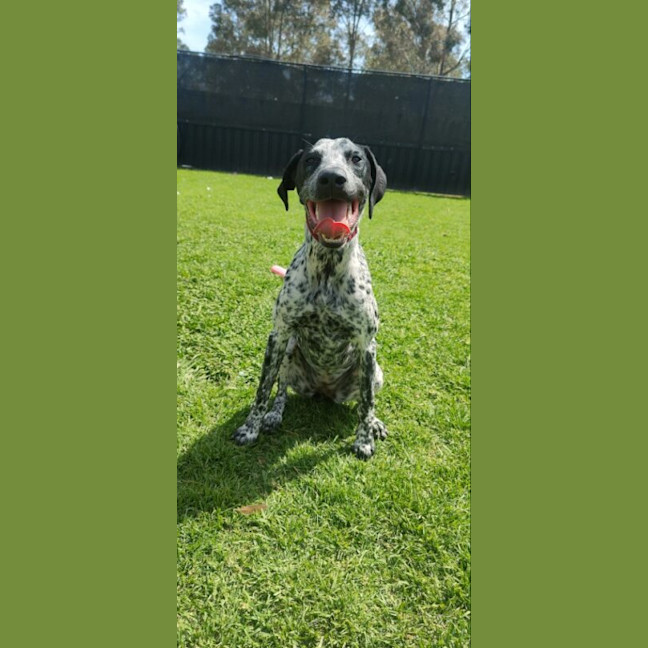 Photo of Lainey