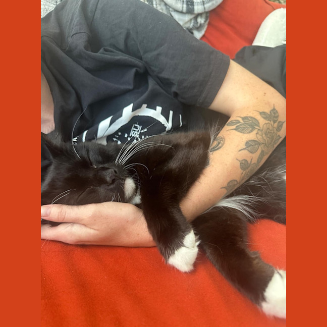 Photo of Daddy Mikey 