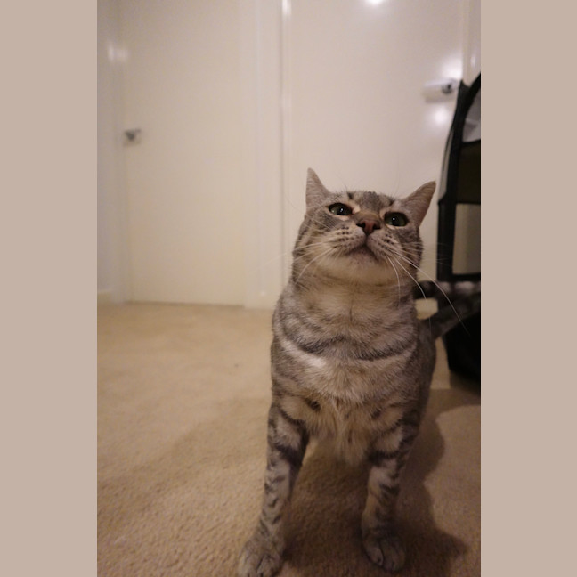 Photo of Kiara